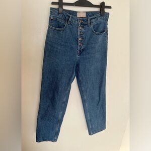 Everlane Organic Cotton Way High Button Fly Jean